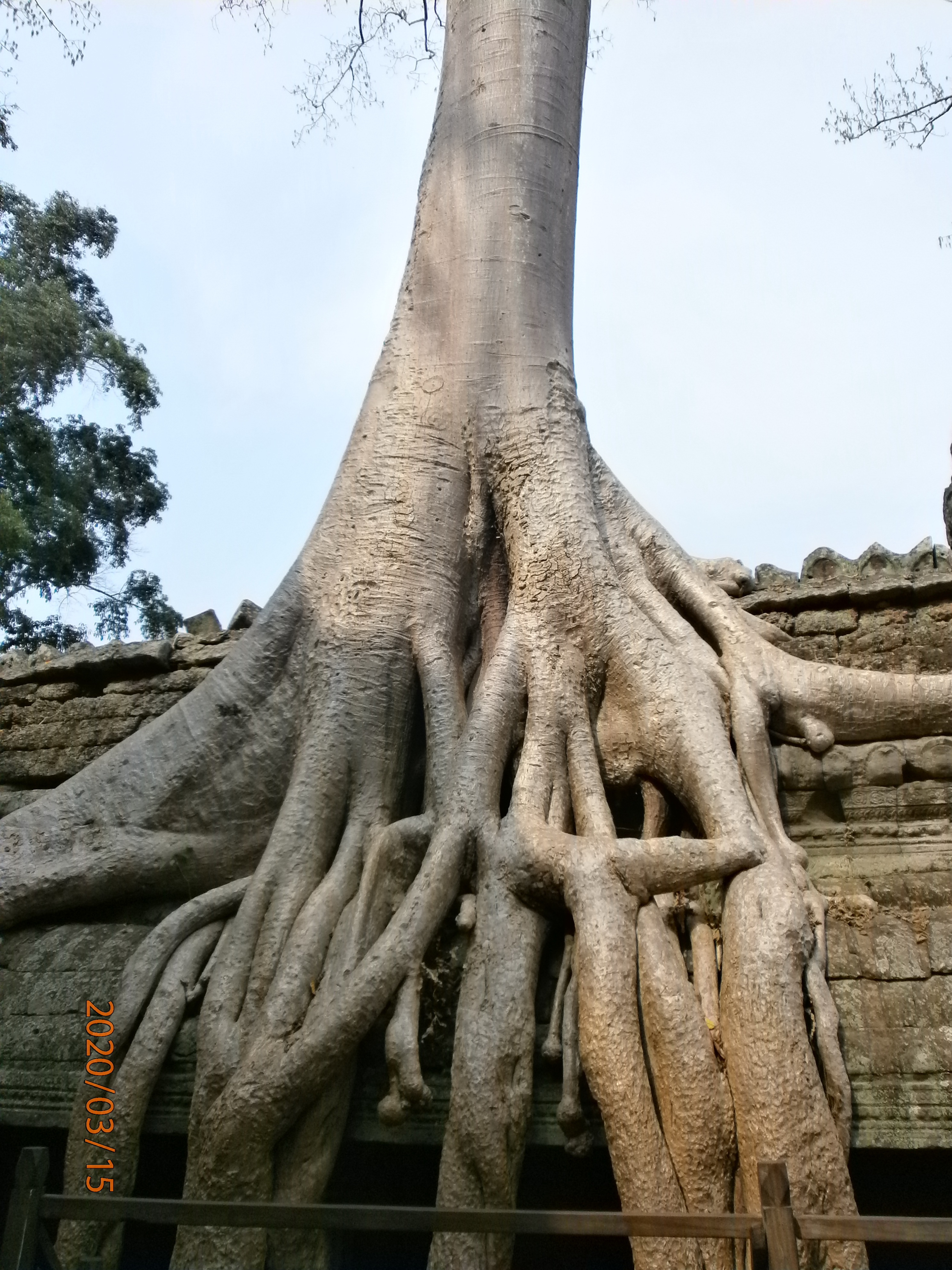 Angkor_Wat