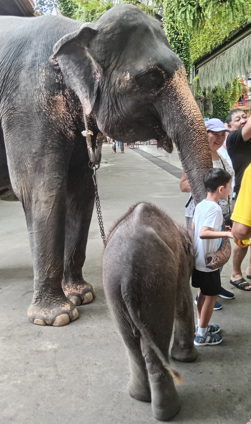 Thailand