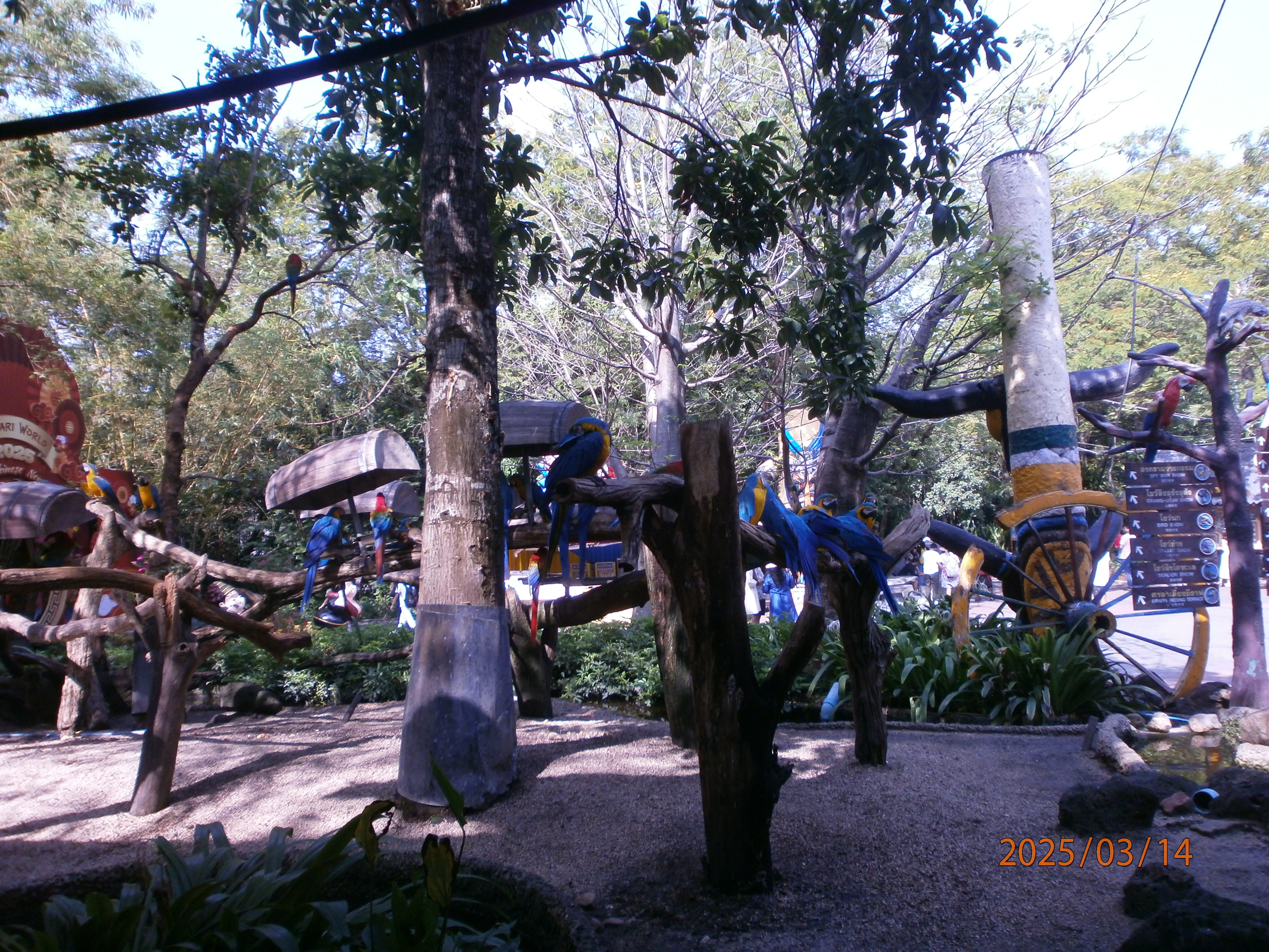 Safari Park