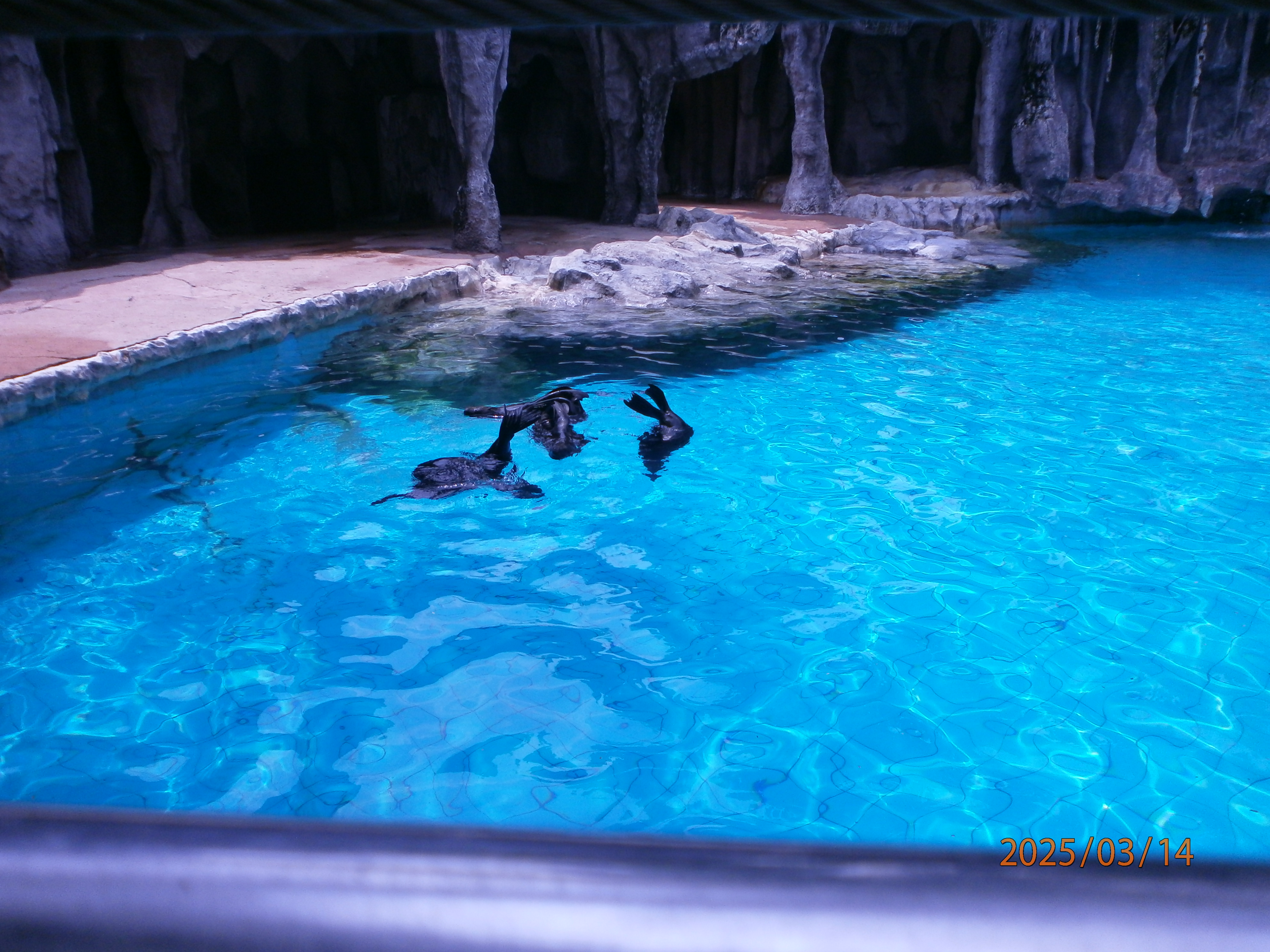Safari Park